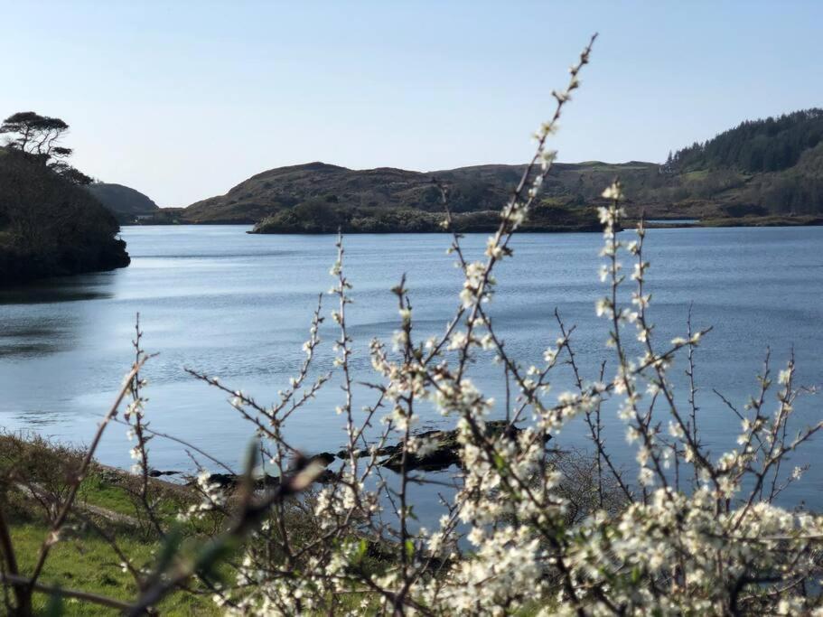 Lough Hyne Cottage Скибърийн Екстериор снимка